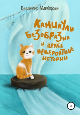 Владимир Владимирович Майборода. Каникулы безобразия и другие невероятные истории