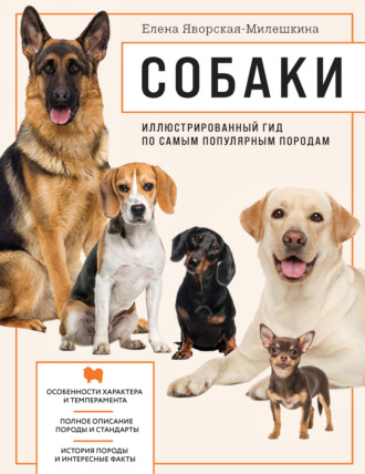 . Собаки. Иллюстрированный гид по самым популярным породам