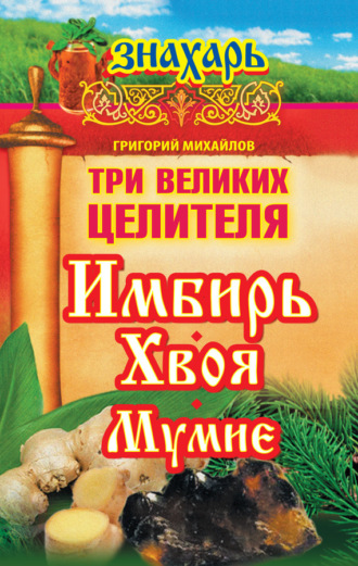 . Три великих целителя: имбирь, хвоя, мумие