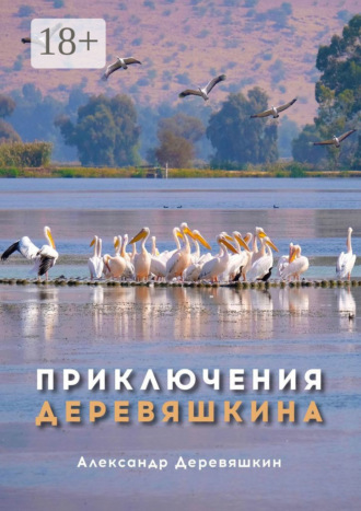 . Приключения Деревяшкина