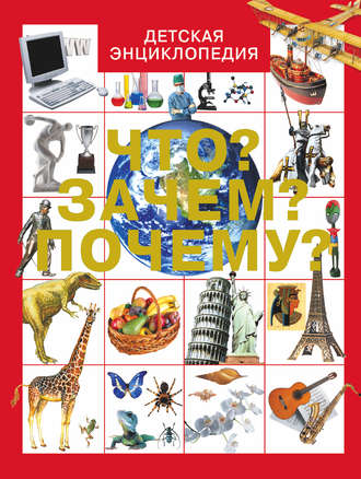 . Что? Зачем? Почему?