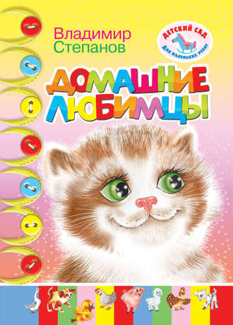 . Домашние любимцы