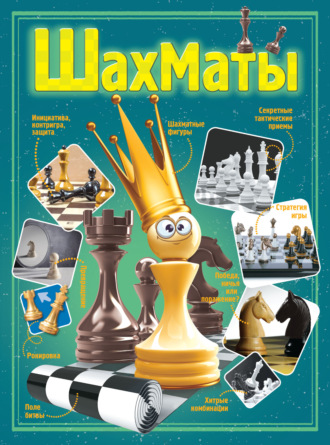 . Шахматы