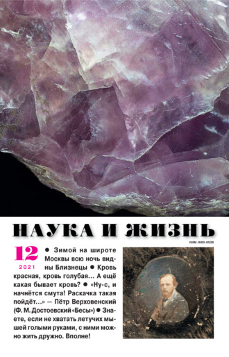. Наука и жизнь №12/2021
