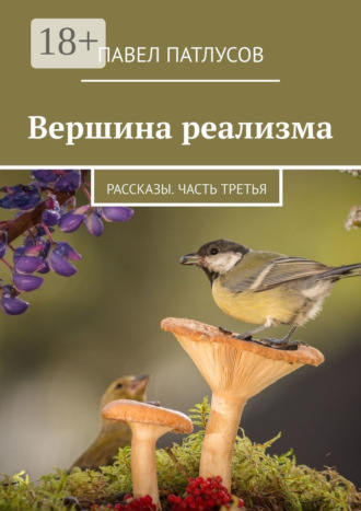 Павел Патлусов. Вершина реализма. Рассказы. Часть третья