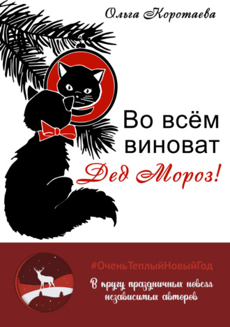 . Во всём виноват Дед Мороз!