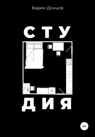 Вадим Дмитриевич Донцов. Студия