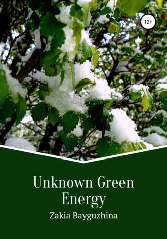 Zakia Bayguzhina. Unknown Green Energy