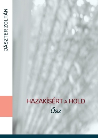 Zoltán Jászter. Hazakísért a Hold. Ősz