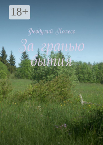 Феодулий Колесо. За гранью бытия