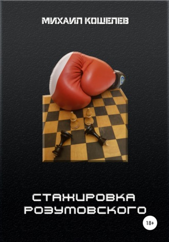 Михаил Кошелев. Стажировка Розумовского