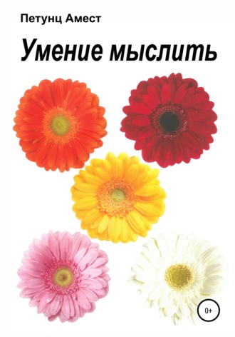 Амест Петунц. Умение мыслить
