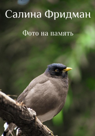 Салина Фридман. Фото на память