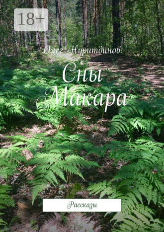 Олег Нуритдинов. Сны Макара. Рассказы