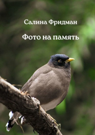 Салина Фридман. Фото на память