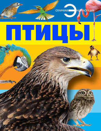 . Птицы