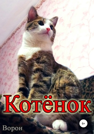 . Котёнок