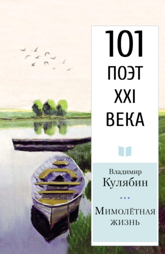 Владимир Кулябин. Мимолётная жизнь