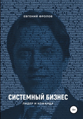 Евгений Фролов. Системный бизнес. Лидер и команда