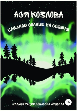 . Бледное солнце на севере