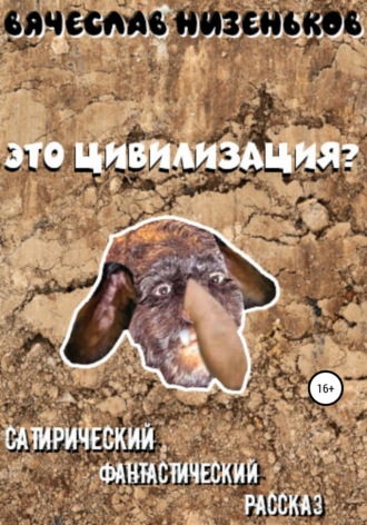 Вячеслав Низеньков. Это цивилизация?