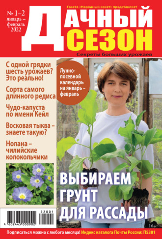 . Дачный сезон №01-02/2022