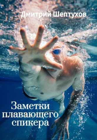 Дмитрий Шептухов. Заметки Плавающего спикера
