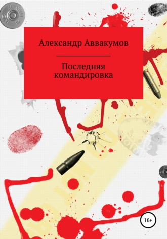 . Последняя командировка