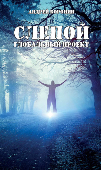 Андрей Воронин. Слепой. Глобальный проект