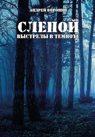 . Слепой. Выстрелы в темноте