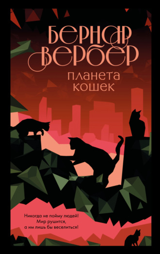. Планета кошек