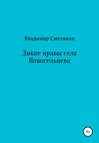 Владимир Алексеевич Сметанин. Дикие нравы села Новосельцева