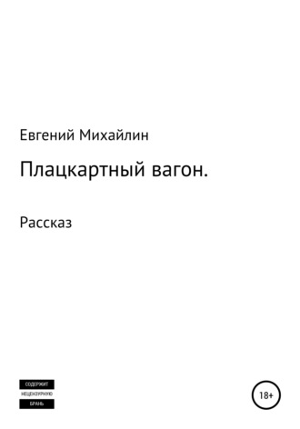 Евгений Алексеевич Михайлин. Плацкартный вагон