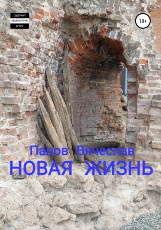 Вячеслав Владимирович Панов. Новая жизнь
