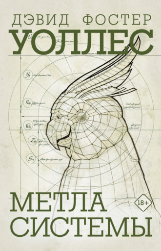 . Метла системы