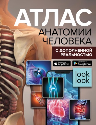 . Атлас анатомии человека с дополненной реальностью