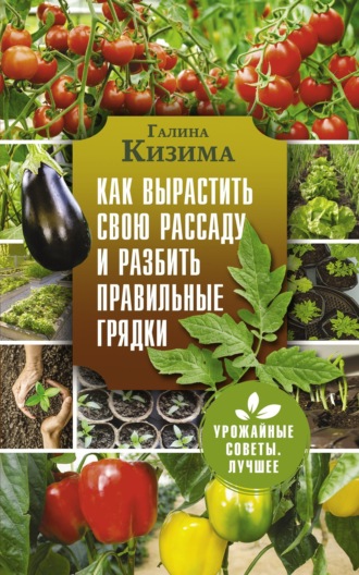 . Как вырастить свою рассаду и разбить правильные грядки