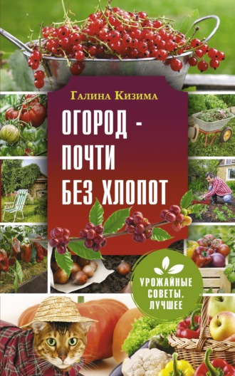 . Огород – почти без хлопот