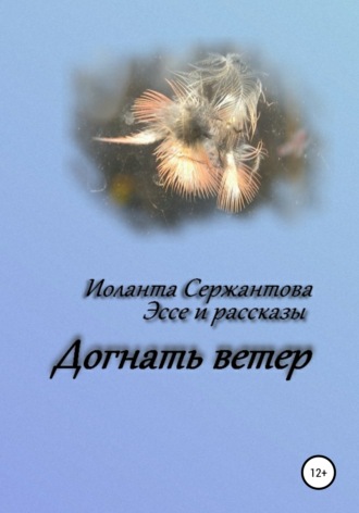 Иоланта Сержантова. Догнать ветер