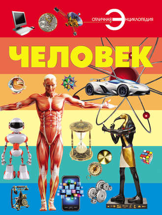 . Человек