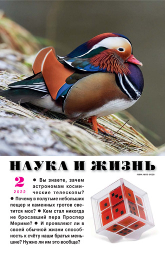 . Наука и жизнь №02/2022