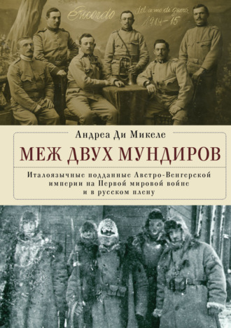 Андреа Ди Микеле. Меж двух мундиров. Италоязычные подданные Австро-Венгерской империи на Первой мировой войне и в русском плену