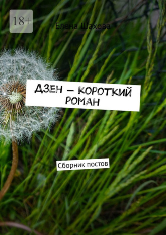 Елена Шахова. Дзен – короткий роман. Сборник постов