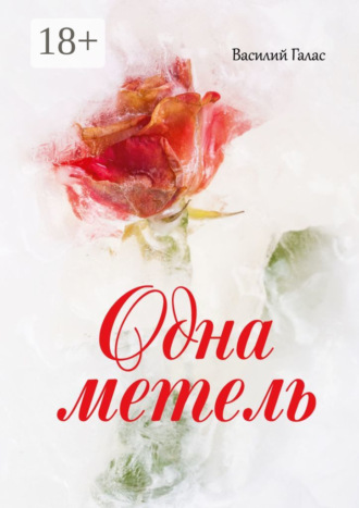 Василий Галас. Одна метель
