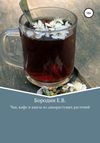 . Чаи, кофе и квасы из дикорастущих растений