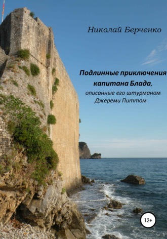 . Подлинные приключения капитана Блада, описанные его штурманом Джереми Питтом