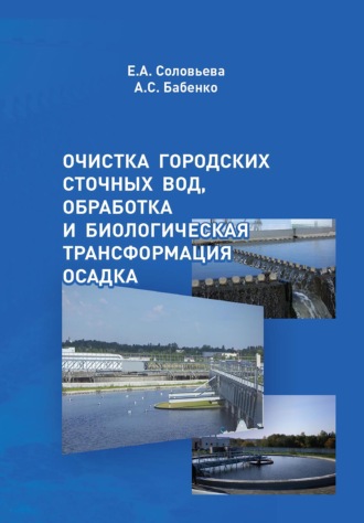 . Очистка городских сточных вод, обработка и биологическая трансформация осадка