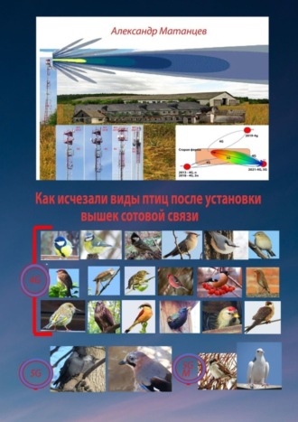 Александр Матанцев. Как исчезали виды птиц после установки вышек сотовой связи