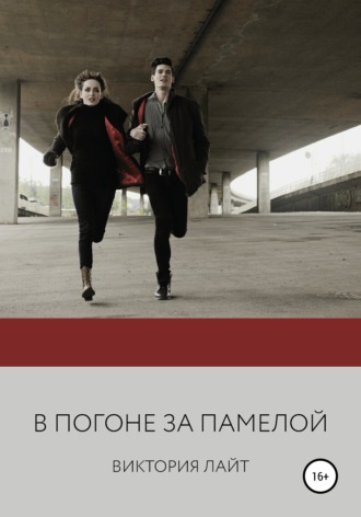 . В погоне за Памелой