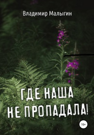 . Где наша не пропадала